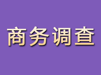 洱源商务调查